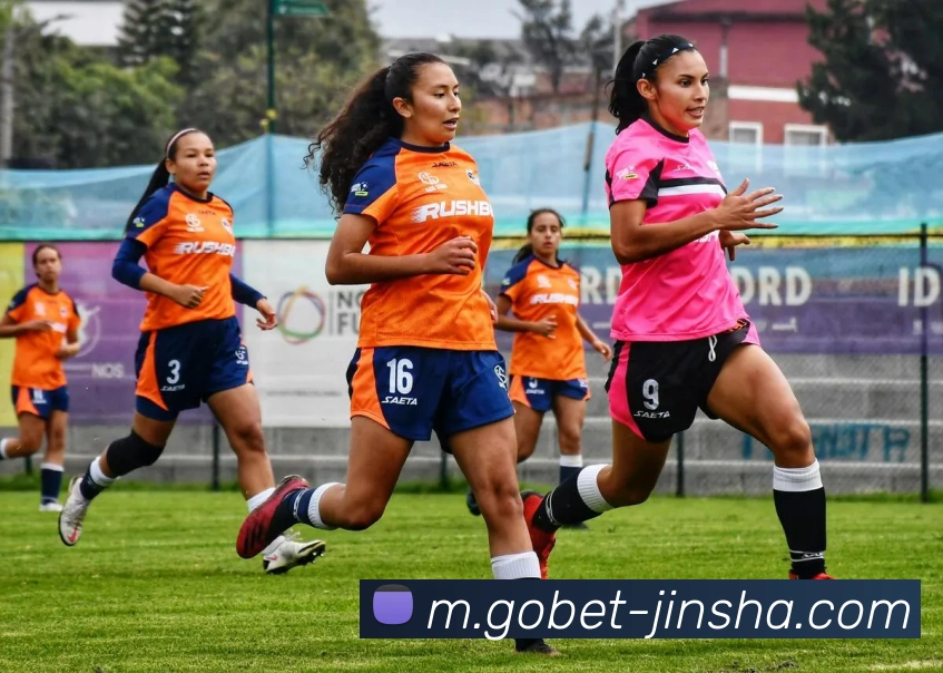 金沙娱乐城APP 封面图